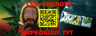 a pvp Бийск