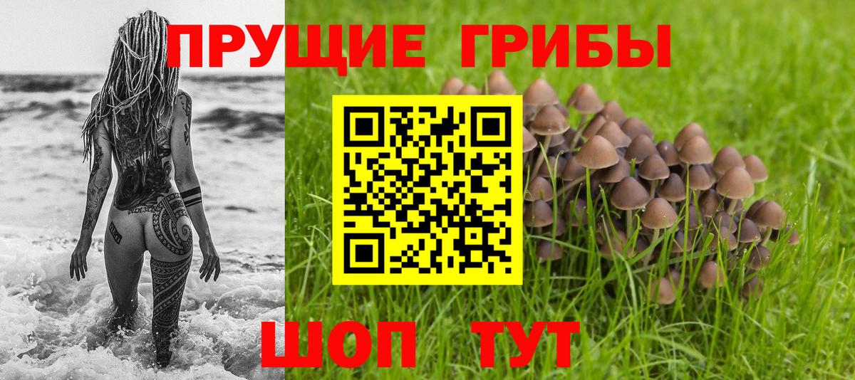 Галлюциногенные грибы Cubensis  Вход с VPN  Белово 